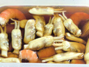 鮮活蟶子300g（23-30粒） 曬單實(shí)拍圖