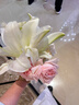 浪莎女士?jì)妊澟兠?0A抑菌襠舒適透氣中腰大碼少女三角褲短褲頭6條裝 曬單實(shí)拍圖