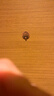 首力貓眼門(mén)鏡家用高清玻璃鏡片防盜門(mén)貓眼加長(cháng)可視貓眼紅古銅180°X55 曬單實(shí)拍圖