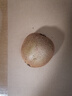 京鮮生 陜西徐香綠心獼猴桃 24粒單果90-110g 新鮮水果 源頭直發(fā) 曬單實(shí)拍圖