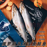 繽鮮 嗒莎熊俄式熏魚整條鯡魚 冷熏生熏魚姐同款咸魚整條即食順豐包郵 含魚籽冷熏鯡魚250±30g左右*1條 曬單實拍圖