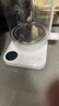 米家小米養(yǎng)生壺燒水壺恒溫電熱水壺煮茶壺泡茶器一體機304不銹鋼米家小白壺 家用辦公室 附茶漏N1 1.5L 曬單實拍圖