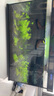 尼特利1號大師水草泥魚(yú)缸專(zhuān)用水藻泥生態(tài)草缸底砂營(yíng)養土8L/袋  曬單實(shí)拍圖