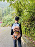 曇蓓漫貓包外出狗狗背包雙肩帶便捷胸前包貓咪背帶四腳透氣小型犬出門(mén)包 天藍色-【透氣舒適/貓狗通用】 L-背長(cháng)28cm【建議6-10斤】 曬單實(shí)拍圖