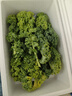 【明星蔬菜】新鮮羽衣甘藍(lán)榨汁涼拌輕食蔬菜超市品質(zhì)直播間同款 2斤帶箱 曬單實(shí)拍圖