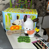 名創(chuàng  )優(yōu)品（MINISO）帕恰狗花與少年盲盒擺件手辦玩具送禮生日禮物 單盒（款式隨機） 曬單實(shí)拍圖