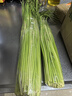 新鮮長蒜苔30cm長度粗細(xì)適中色澤飽滿高品質(zhì)生鮮蒜苔 蒜臺3斤 曬單實(shí)拍圖