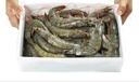 賣(mài)魚(yú)郎先生蝦 青島鹽凍大蝦凈重3.6斤 25-30只/斤 青蝦海蝦生鮮 蝦類(lèi) 曬單實(shí)拍圖