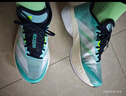阿迪達(dá)斯 （adidas）男 跑步系列 ADIZERO BOSTON 13 M 跑步鞋 JS4945 藍(lán)色  41  曬單實(shí)拍圖