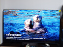海信電視65E3Q Pro 65英寸 300Hz高刷高分區 MiniLED級控光 3G+64G大內存 一級能效 國家補貼以舊換新 曬單實(shí)拍圖