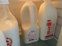 三元 全脂 鮮牛奶 1.8L 大桶家庭裝  巴氏殺菌 早餐搭檔 曬單實(shí)拍圖