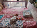 寶之軒床圍欄床上護欄嬰兒童床擋板寶寶防摔護欄垂直升降 【無(wú)縫設計】皇冠熊 2m 單面裝 曬單實(shí)拍圖