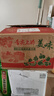 陜西玉露香梨當季新鮮香梨酥脆可口產(chǎn)地直發(fā)單果150g+華北強 帶箱9斤【凈重8.5斤】 曬單實(shí)拍圖