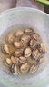 江船長 冷凍鮑魚 凈重160g(18-22粒)袋裝 火鍋燒烤食材 海鮮生鮮 曬單實拍圖