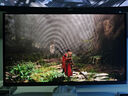 AOC 26.5英寸QD-OLED 2K500Hz 原生10Bit 0.03ms DP2.1 HDR 硬件低藍光TUV護眼游戲電競顯示器Q27G4KD 曬單實拍圖
