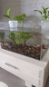 YEE超白魚(yú)缸桌面客廳生態(tài)斗金魚(yú)烏龜缸造景小型水草養魚(yú)玻璃裸缸40cm 曬單實(shí)拍圖
