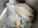 黃小漁寧德黃魚(yú)鲞400g/2條 三去大黃魚(yú)黃花魚(yú)生鮮 海鮮水產(chǎn)燒烤夜宵魚(yú)類(lèi) 曬單實(shí)拍圖