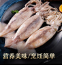 美加佳 鮮凍整只大魷魚（2-3只） 凈重550g 整條魷魚 深海捕撈 海鮮水產(chǎn) 曬單實拍圖
