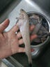 森農樂(lè )豆腐魚(yú)舟山特產(chǎn)龍頭魚(yú)鮮活冷凍海鮮水產(chǎn)九肚魚(yú)生鮮海魚(yú)水潺3斤裝 凈重1500g【鮮肥嫩滑】 曬單實(shí)拍圖