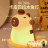 貝初眾女孩生日禮物10-12歲卡皮巴拉玩具7-14歲小學(xué)生送女兒學(xué)生朋友 卡皮巴拉夜燈【敲木魚(yú)】隨拍隨亮 送女兒9-13十歲女生卡皮巴拉 曬單實(shí)拍圖