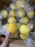 京覓四川安岳黃檸檬凈重3斤單果80g+生鮮水果源頭直發(fā)包郵  曬單實(shí)拍圖