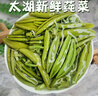 騎猴趕馬（產(chǎn)地直發(fā)）蘇州太湖莼菜 新鮮有機(jī)蔬菜 利川西湖莼菜野菜馬蹄菜 新鮮采摘-產(chǎn)地直送 3瓶【300g/瓶】瓶裝 曬單實(shí)拍圖
