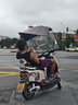 新越昌暉小推車(chē)拉貨平板車(chē)折疊手推車(chē)拖車(chē)手拉車(chē)搬運車(chē)70x46cm承重500斤 曬單實(shí)拍圖