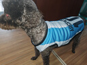 狗狗球衣春夏季薄款寵物衣服大中小型犬金毛薩摩貓咪服背心衣服 10號阿根廷 XL(約9-12斤寵物 胸圍50CM) 曬單實(shí)拍圖