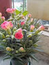 康乃馨盆栽花苗重瓣帶花苞四季開(kāi)花室內陽(yáng)臺花卉植物好養活多年生 粉色 帶花苞發(fā)12cm口徑盆 含盆 曬單實(shí)拍圖