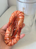 海石兄弟大九節蝦干250g 即食蝦干烤蝦干蝦仁干海產(chǎn)干海鮮特產(chǎn)源頭直發(fā) 曬單實(shí)拍圖