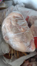 溫氏 供港富硒老母雞2斤 富硒農(nóng)家散養(yǎng)老母雞土雞冷凍 散養(yǎng)500天以上 曬單實(shí)拍圖