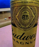 百威黑金啤酒500ml*12聽整箱裝烈性拉格焦香醇厚  曬單實(shí)拍圖