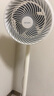 華凌美的【小暴風(fēng)】白天鵝空氣循環(huán)扇 家用電風(fēng)扇大風(fēng)量搖頭輕音臥室臺式落地扇節能空調扇WH-FGA2001 曬單實(shí)拍圖