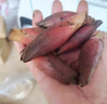 2025年湖北恩施食用新鮮陽(yáng)荷姜洋荷洋河姜洋霍茗荷洋藿產(chǎn)地 500g 曬單實(shí)拍圖
