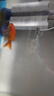 森森 小鯉魚(yú)缸過(guò)濾器凈水循環(huán)三合一內置水族箱過(guò)濾系統XQP-500F 6W 曬單實(shí)拍圖