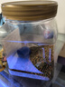 YEE魚(yú)食金魚(yú)飼料錦鯉魚(yú)飼料通用型上浮不渾水觀(guān)賞魚(yú)專(zhuān)用小型魚(yú)魚(yú)糧 360克到手2瓶共720克 曬單實(shí)拍圖