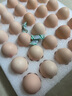 京鮮生 無抗保潔鮮雞蛋30枚/盒 健康輕食 禮盒送禮 1.5kg/盒 源頭直發(fā) 曬單實拍圖