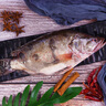 膳訊灣 臭鱖魚(yú)凈膛8-9兩*3條安徽黃山特產(chǎn)生鮮桂魚(yú)預制菜腌制 源頭直發(fā) 曬單實(shí)拍圖
