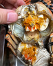 【活蟹】蟹叁鉗莊鮮活大閘蟹現貨全母蟹2.5-2.8兩8只螃蟹去繩足重海鮮中秋禮盒 曬單實(shí)拍圖