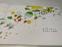 信誼原創(chuàng  )圖畫(huà)書(shū)系列-一園青菜成了精【3-6歲】豐子愷兒童畫(huà)書(shū)獎 激發(fā)兒童想象力的優(yōu)秀童書(shū)繪本 一升二銜接 小升初銜接 曬單實(shí)拍圖