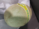 【產(chǎn)地直采】冰淇淋網(wǎng)紋瓜1粒1.25kg 曬單實(shí)拍圖