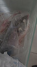 云映漁舟微山湖生態(tài)淡水鱸魚新鮮活魚現(xiàn)殺花鱸魚鱸子生鮮清蒸河魚順豐水產(chǎn) 1.5斤/條淡水鱸魚 凈膛宰殺后損耗15％ 曬單實拍圖