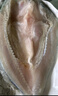 鮮京采三去海鱸魚(yú)3斤/3條 生鮮魚(yú)類(lèi) 白蕉鱸魚(yú)地標 中秋家宴魚(yú)類(lèi)源頭直發(fā) 曬單實(shí)拍圖