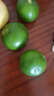小覃同學(xué)秭歸新鮮夏橙榨汁臍橙子 湖北特產(chǎn)現(xiàn)摘現(xiàn)發(fā)應(yīng)季生鮮孕婦水果整箱 凈重5斤裝大果(65mm+) 曬單實(shí)拍圖