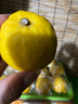萌檬丑檸檬萌檬有機(jī)檸檬 歐盟有機(jī)認(rèn)證大果黃檸檬有農(nóng)殘檢測(cè)報(bào)告 2.5kg 曬單實(shí)拍圖