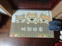艾杰普絲圈入戶(hù)門(mén)地墊大門(mén)口進(jìn)戶(hù)門(mén)廚房浴室腳墊子可裁剪防滑墊進(jìn)門(mén)地毯 曬單實(shí)拍圖