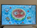 AOCPAD【超300萬(wàn)玩家+購(gòu)】24英寸顯示器22寸電腦顯示屏高清2K180Hz小鋼炮辦公設(shè)計(jì)電競(jìng)游戲顯示屏可壁掛 24英寸【2K165hz】旗艦頂配 直白 曬單實(shí)拍圖