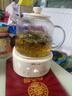 小熊（Bear）全玻璃壺體養(yǎng)生壺恒溫壺 辦公室多功能煮茶壺花茶壺 0金屬養(yǎng)生杯 24h預約24h保溫 1L YSH-P10Q7 曬單實拍圖