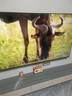 長(zhǎng)虹歐寶麗75Z70H 75英寸 MiniLED 165Hz高刷新4GB+128GB國(guó)家補(bǔ)貼以舊換新4K超高清智能液晶平板電視機(jī) 曬單實(shí)拍圖