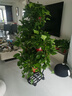 落地可移動(dòng)客廳花架陽(yáng)臺植物置物架庭院鐵藝多層多肉花盆托架 7層【加粗方管+萬(wàn)向輪】黑紗紋 曬單實(shí)拍圖